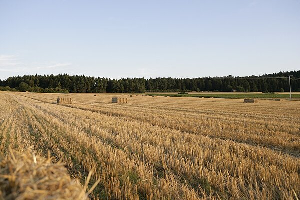 История успеха