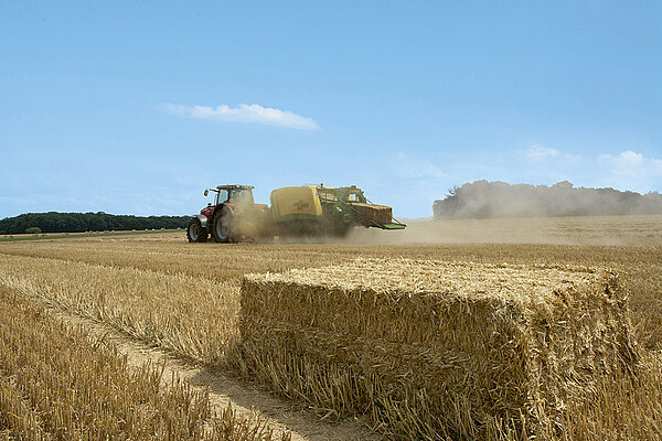 Вариационная система заполнения