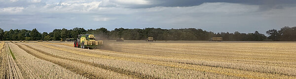 Управление