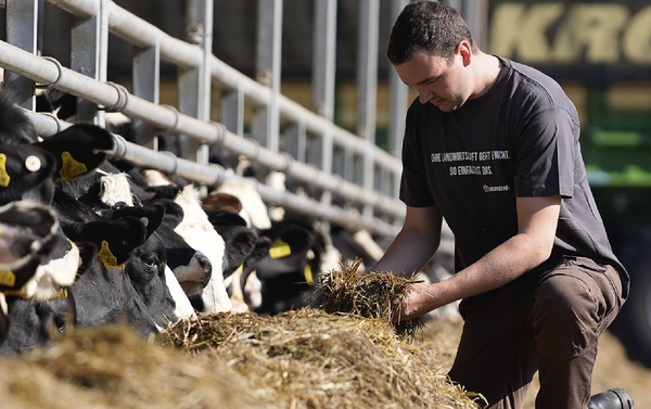 Качество корма