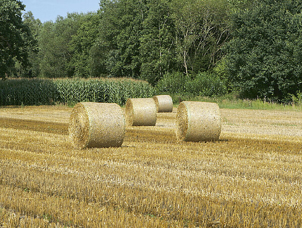TIM обеспечивает равномерное прессование