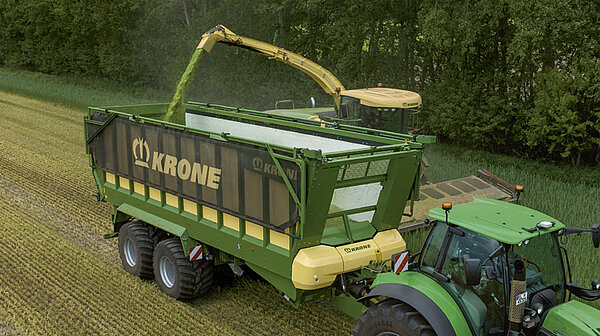 Силосная масса