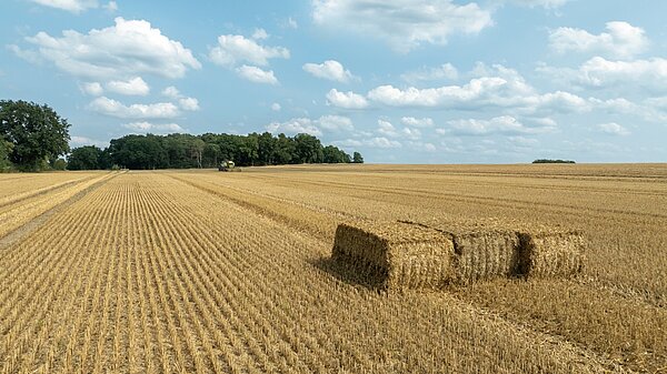 Техническое обслуживание и очистка