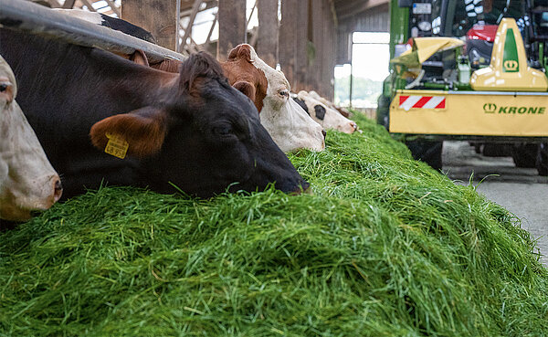 Комфортное управление