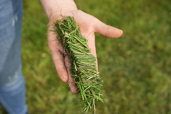 Лучшее качество корма