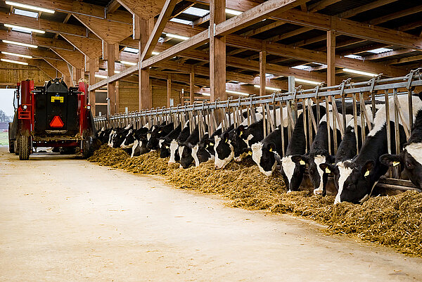 Расщепление